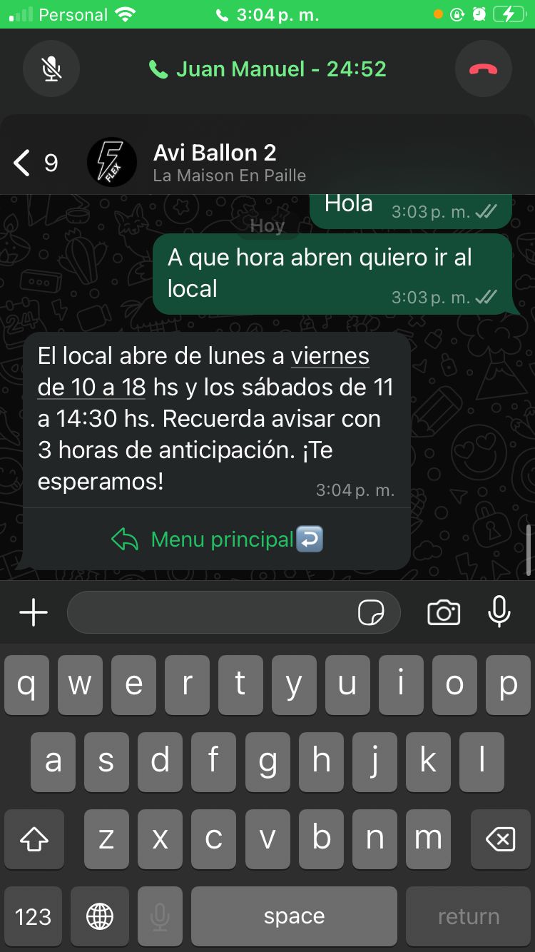 Chatbot Screenshot 3
