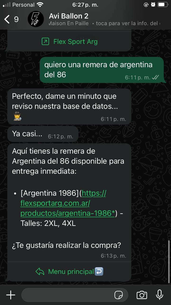 Chatbot Screenshot 5